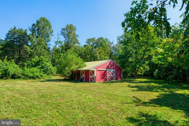 a view of a field with a tree