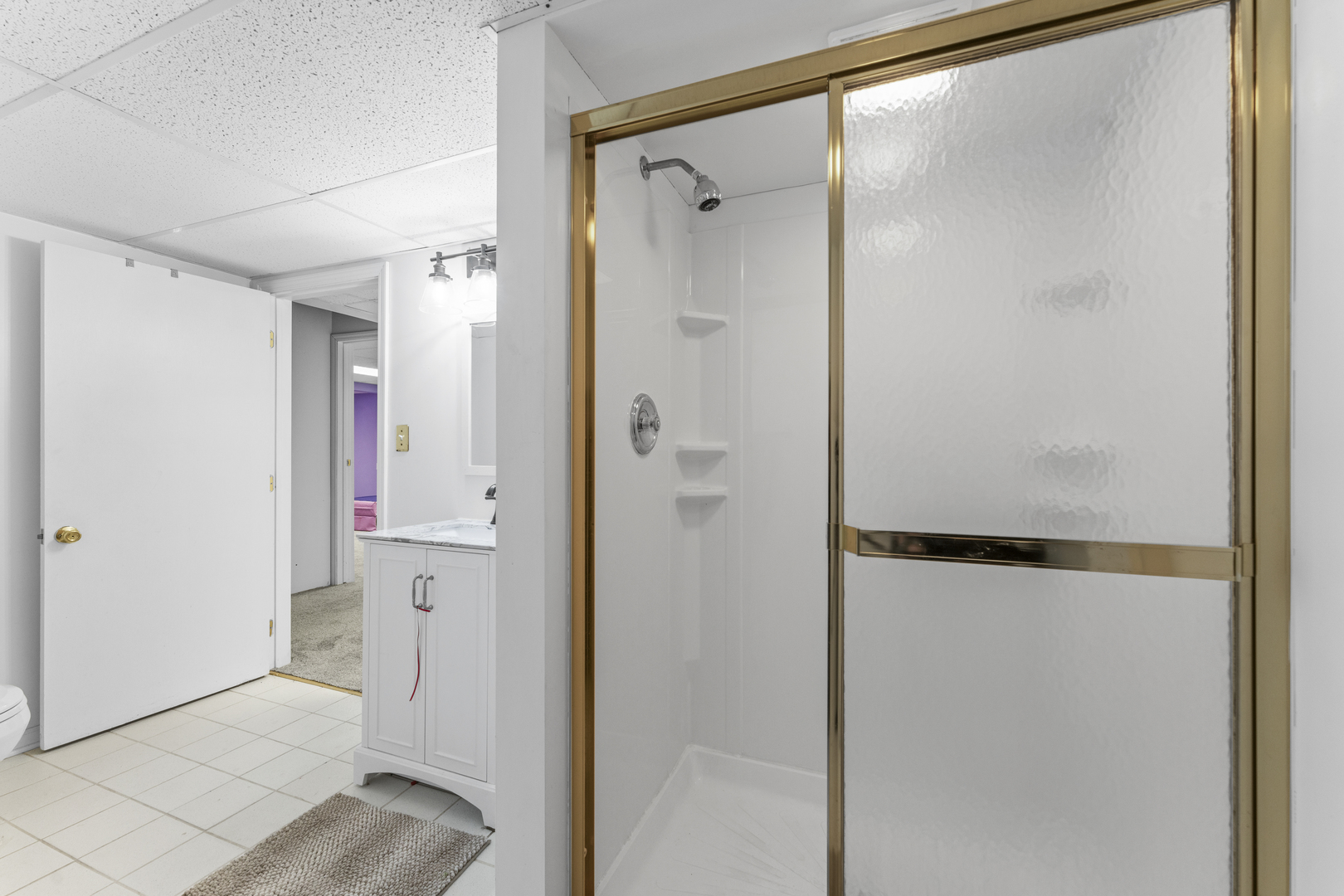 619 West End Road Roselle, IL 60172 - Photo 33 of 37 a bathroom with a glass shower door