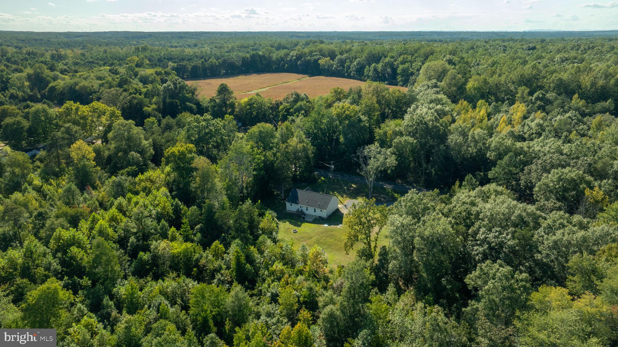 5712 Buckner Road Bumpass, VA 23024 - Photo 42 of 59 an aerial view of mountain with trees in the background