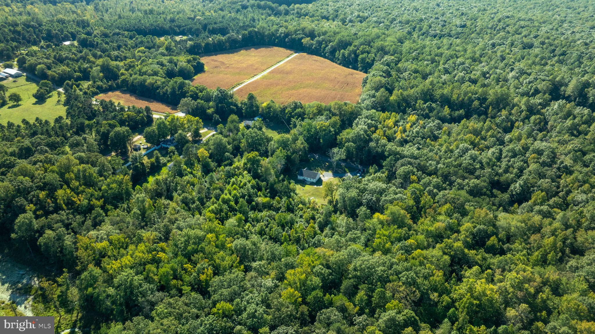 5712 Buckner Road Bumpass, VA 23024 - Photo 43 of 59 an aerial view of a house with a yard and trees all around