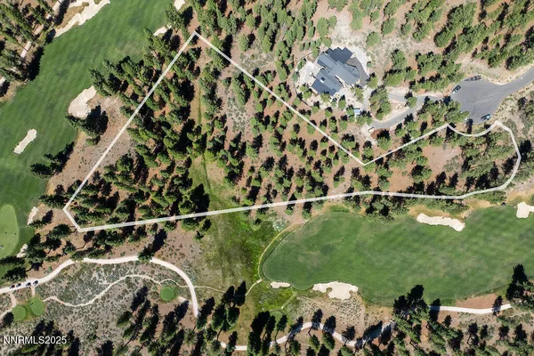 a view of a bunch of trees