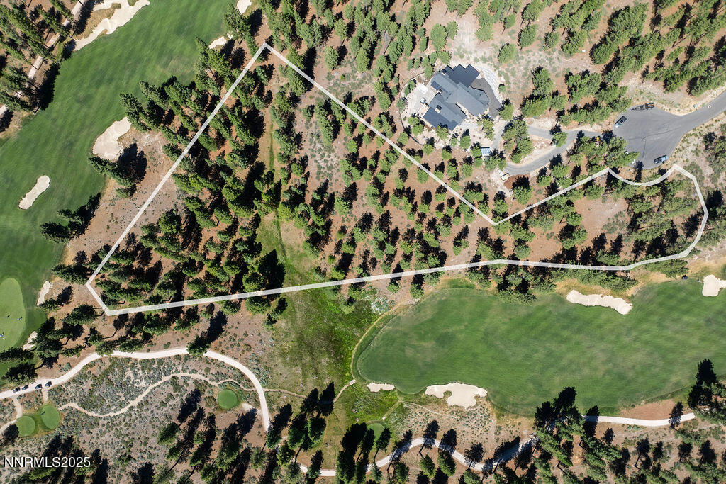 a view of a bunch of trees