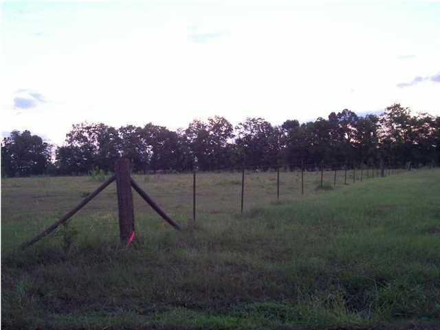 0 Thomassee Road Arnaudville, LA 70512 - Photo 2 of 7 Additional Photo