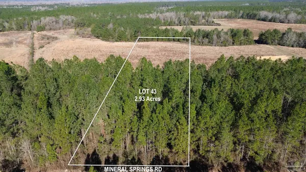 $73,000 | Lot 43 Mineral Springs Road, Jay, FL 32565