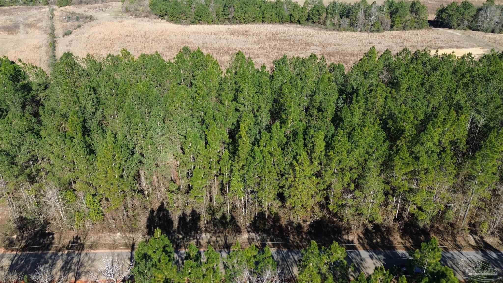 Lot 43 Mineral Springs Road Jay, FL 32565 - Photo 2 of 4