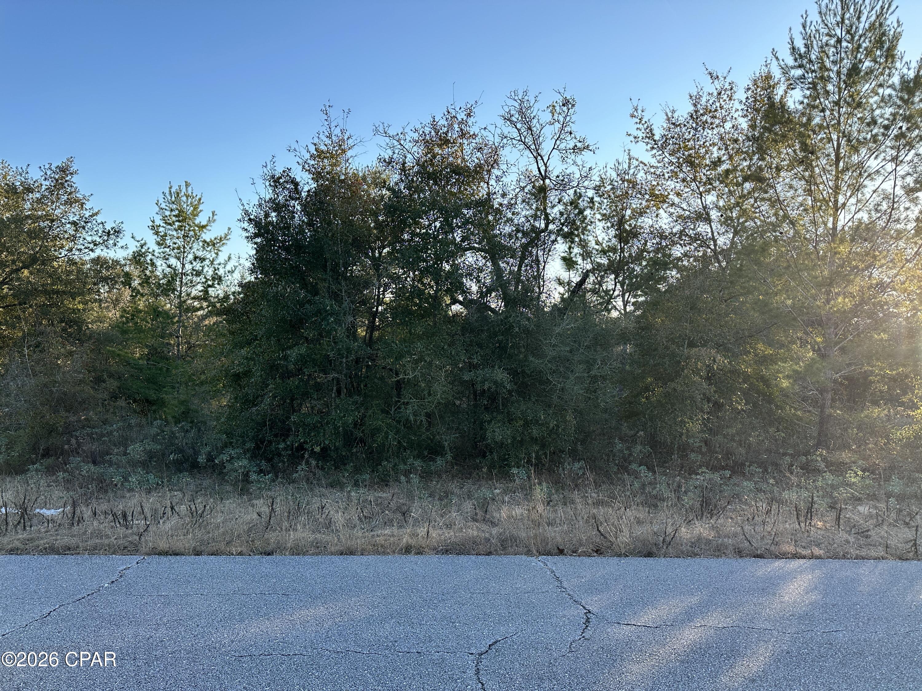 Lot 2 Clarion Street Chipley, FL 32428 - Photo 3 of 6