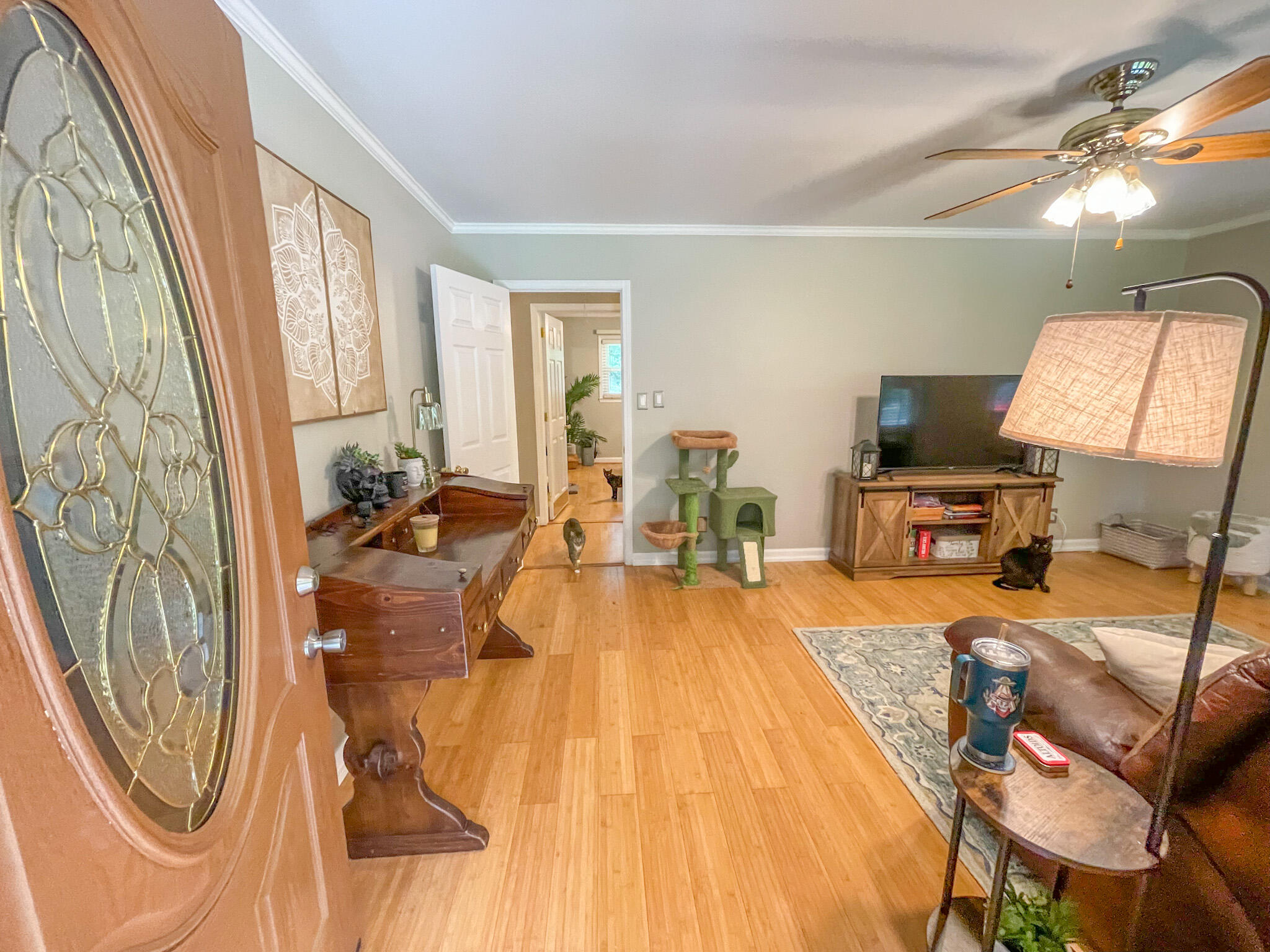 378 Otis Road Walterboro, SC 29488 - Photo 7 of 38 IMG_2610