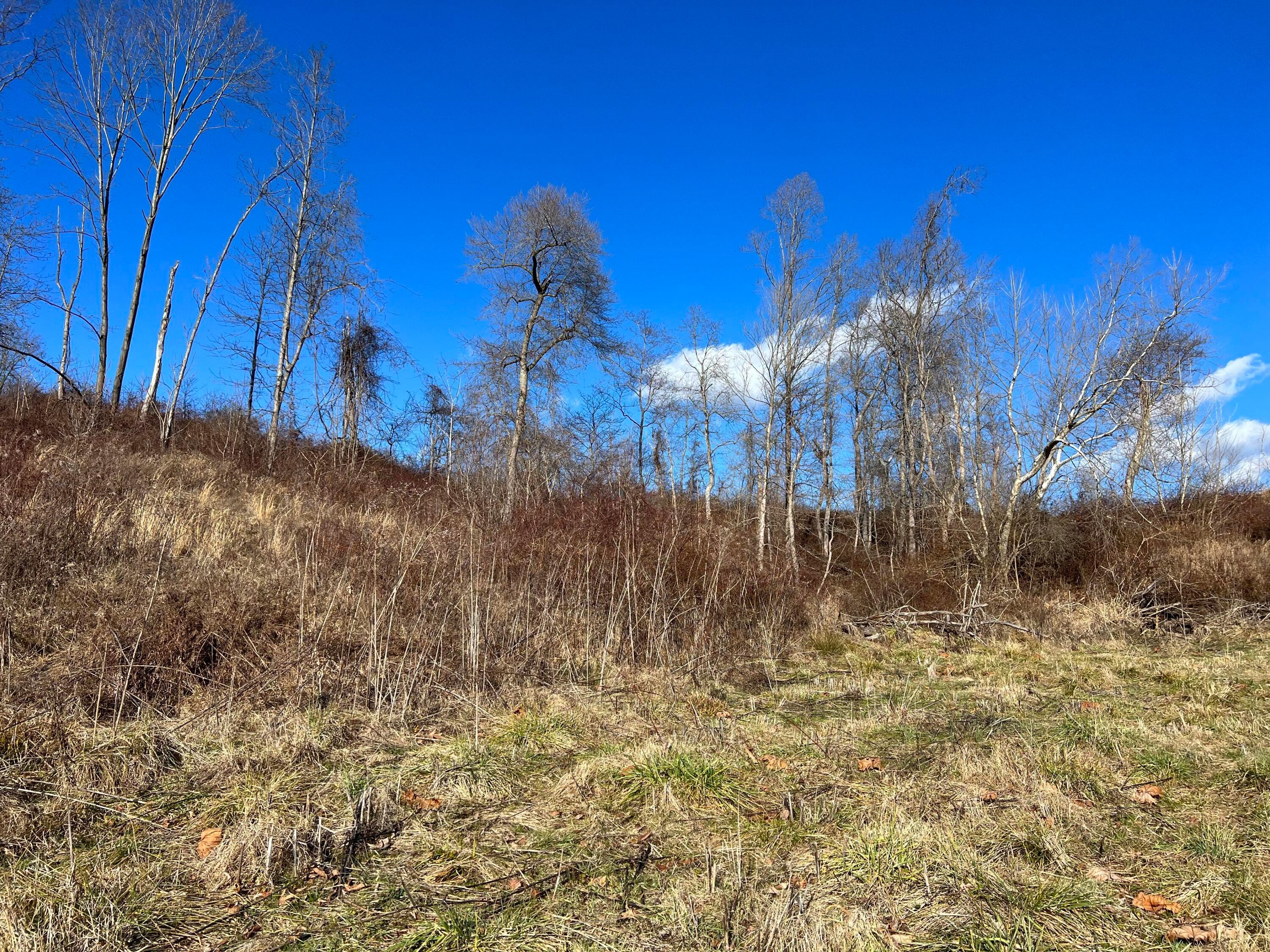 0 McGrath Road, Unit MCGRATH TRACT 8) Athens, OH 45701 - Photo 23 of 30 20240111_192449551_iOS