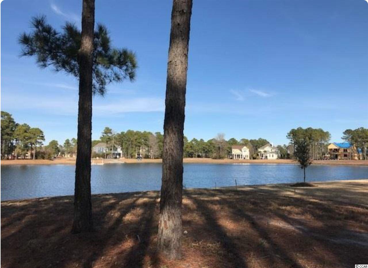 943 Fiddlehead Way Myrtle Beach, SC 29579 - Photo 3 of 17 Gallery Image 3