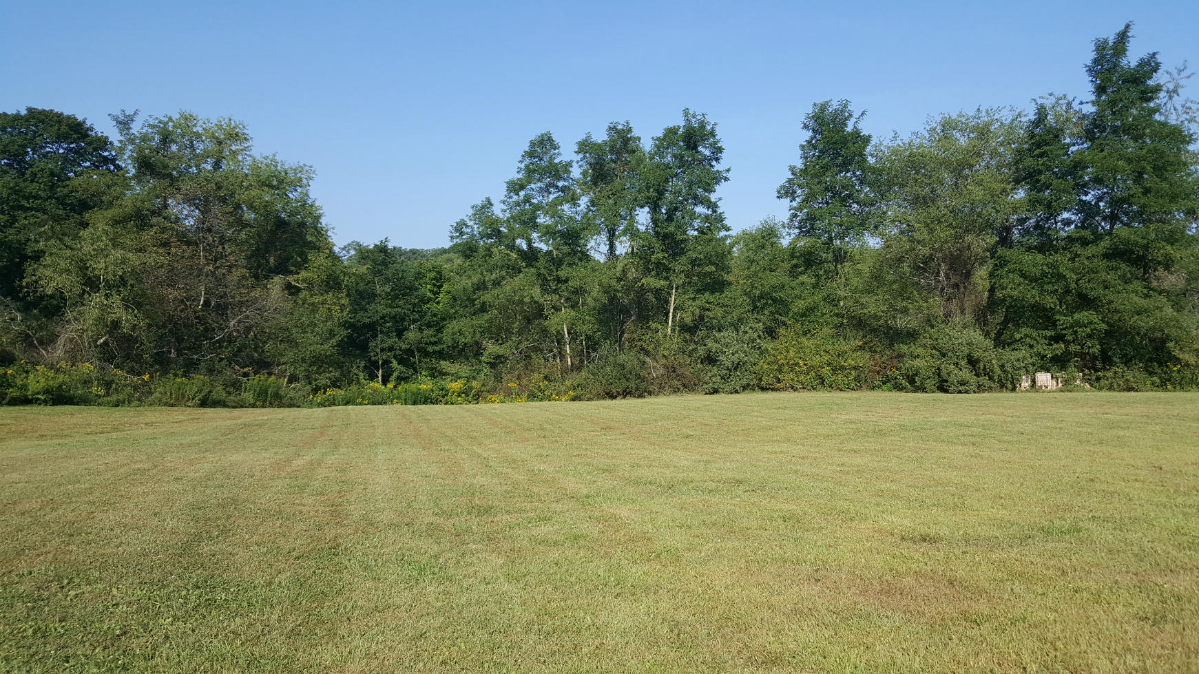 1081 Fairview Road Lewisburg, WV 24901 - Photo 92 of 97 Gallery Image 92