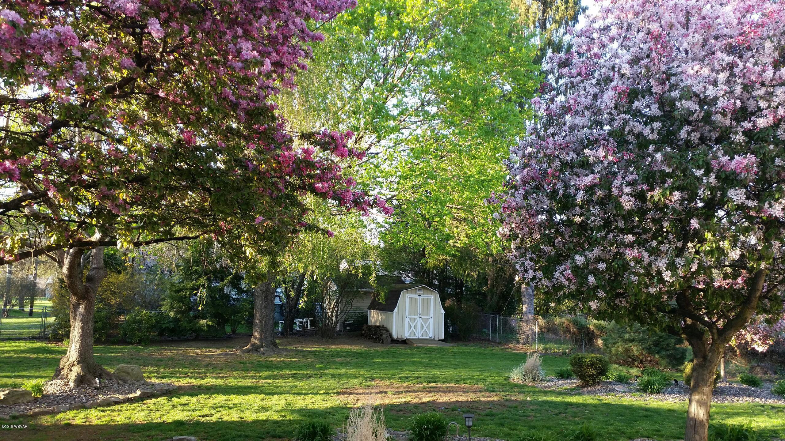 2205 Reed Street Williamsport, PA 17701 - Photo 70 of 73 Backyard blooming in the spring. Tree to the right was cut down.