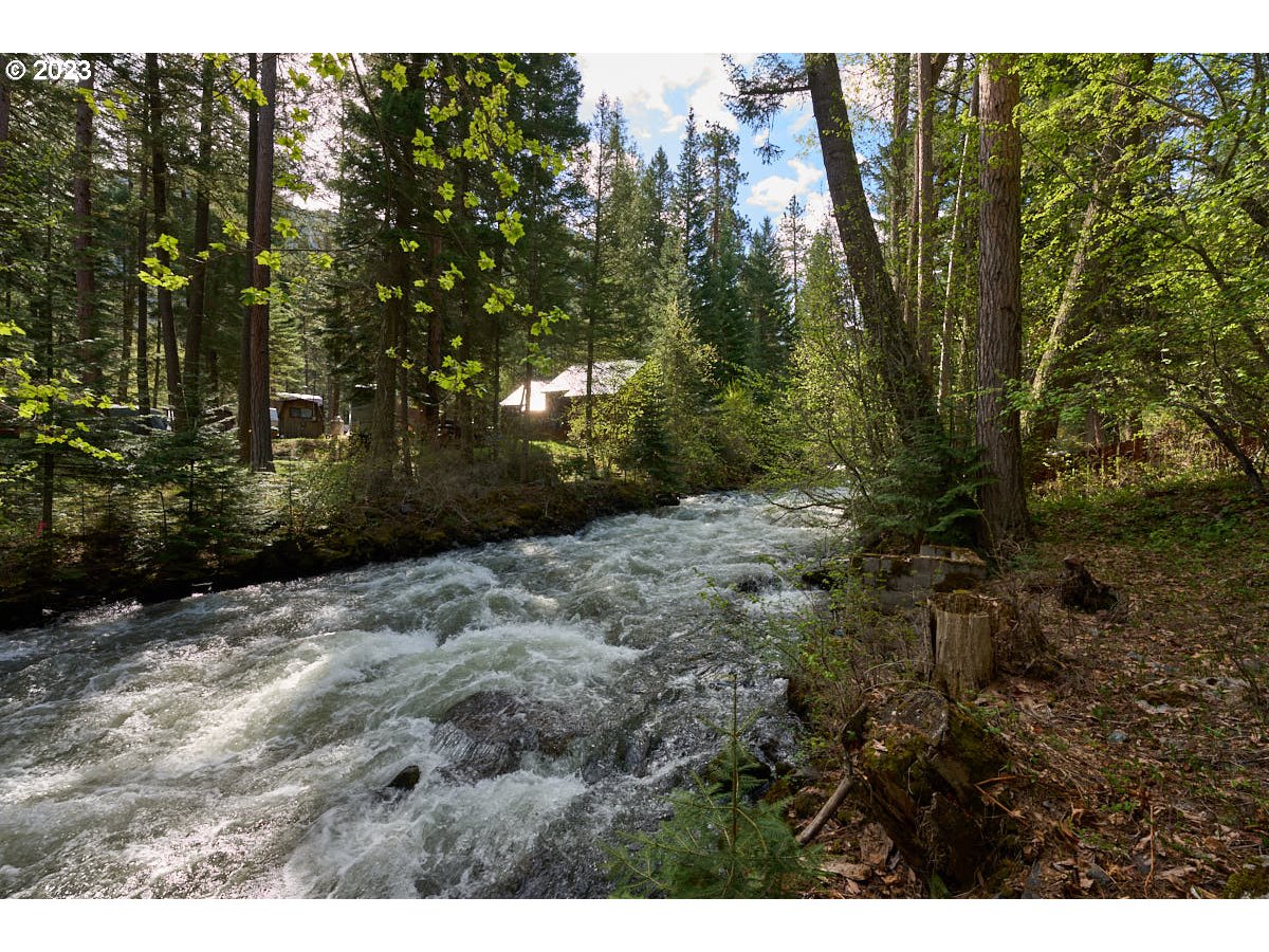 60009 Pollock Road Wallowa Lake, OR 97846 - Photo 5 of 25