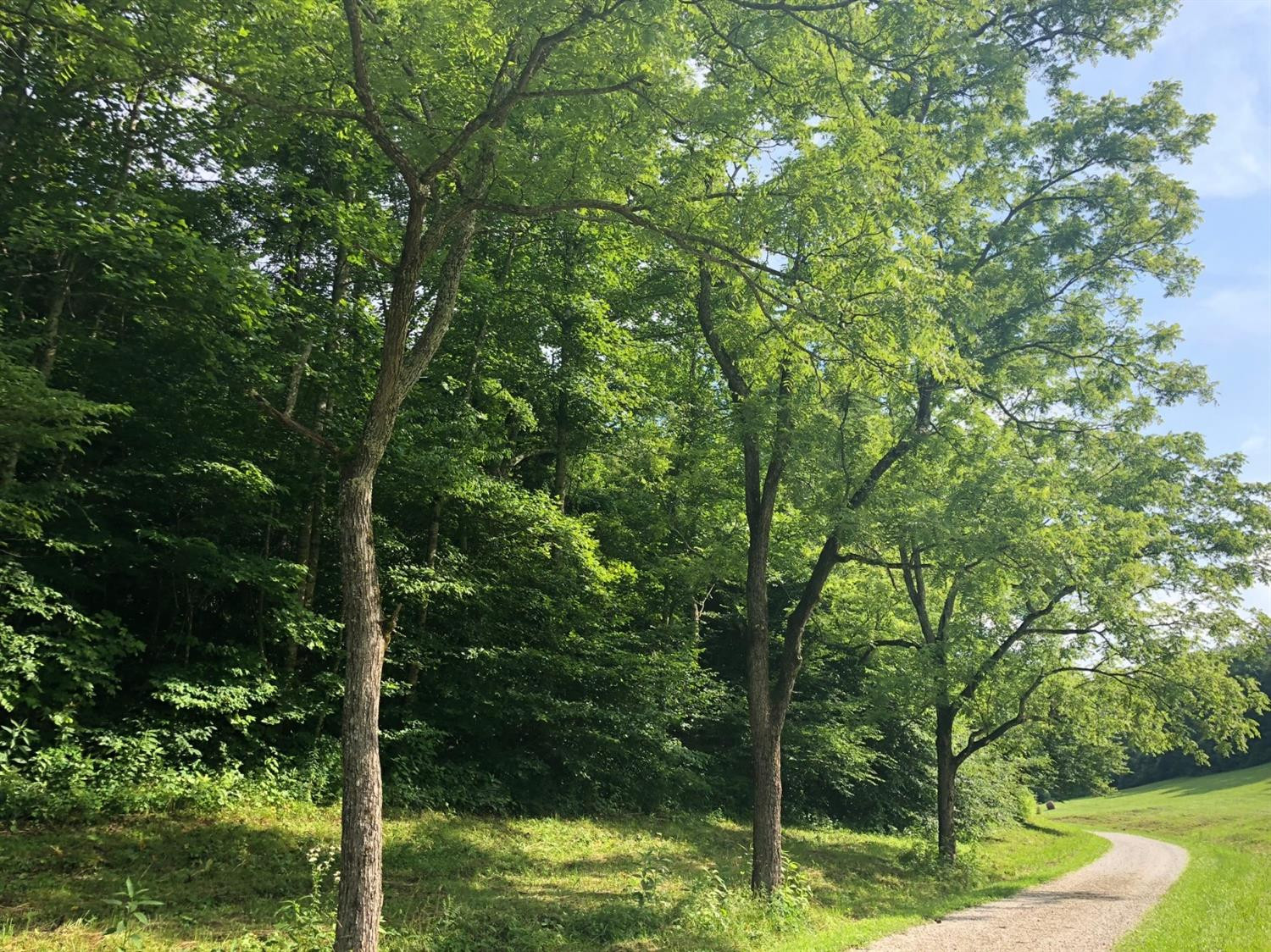 9999 Williams Hollow Road McKee, KY 40447 - Photo 25 of 28 Photo 25