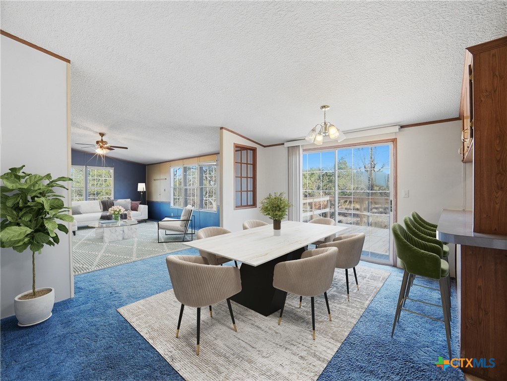 506 Oak Grove Road San Marcos, TX 78666 - Photo 13 of 40 506 Oak Grove