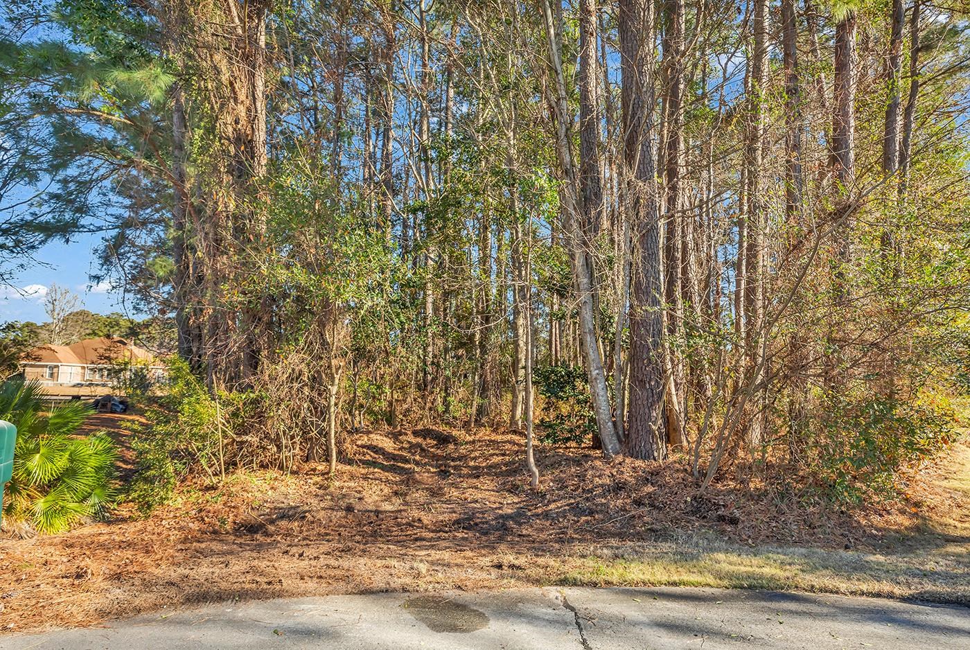 513 Reedy River Road Myrtle Beach, SC 29588 - Photo 34 of 34