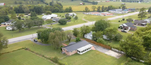 a view of a garden with a tree