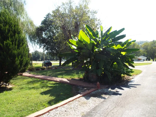 $335,000 | 715 East Poplar Bluff Road, Auburntown, TN 37016