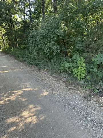 $49,900 | 0 Ripley 21n-4, Doniphan, MO 63935