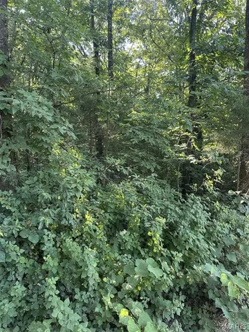 $49,900 | 0 Ripley 21n-4, Doniphan, MO 63935