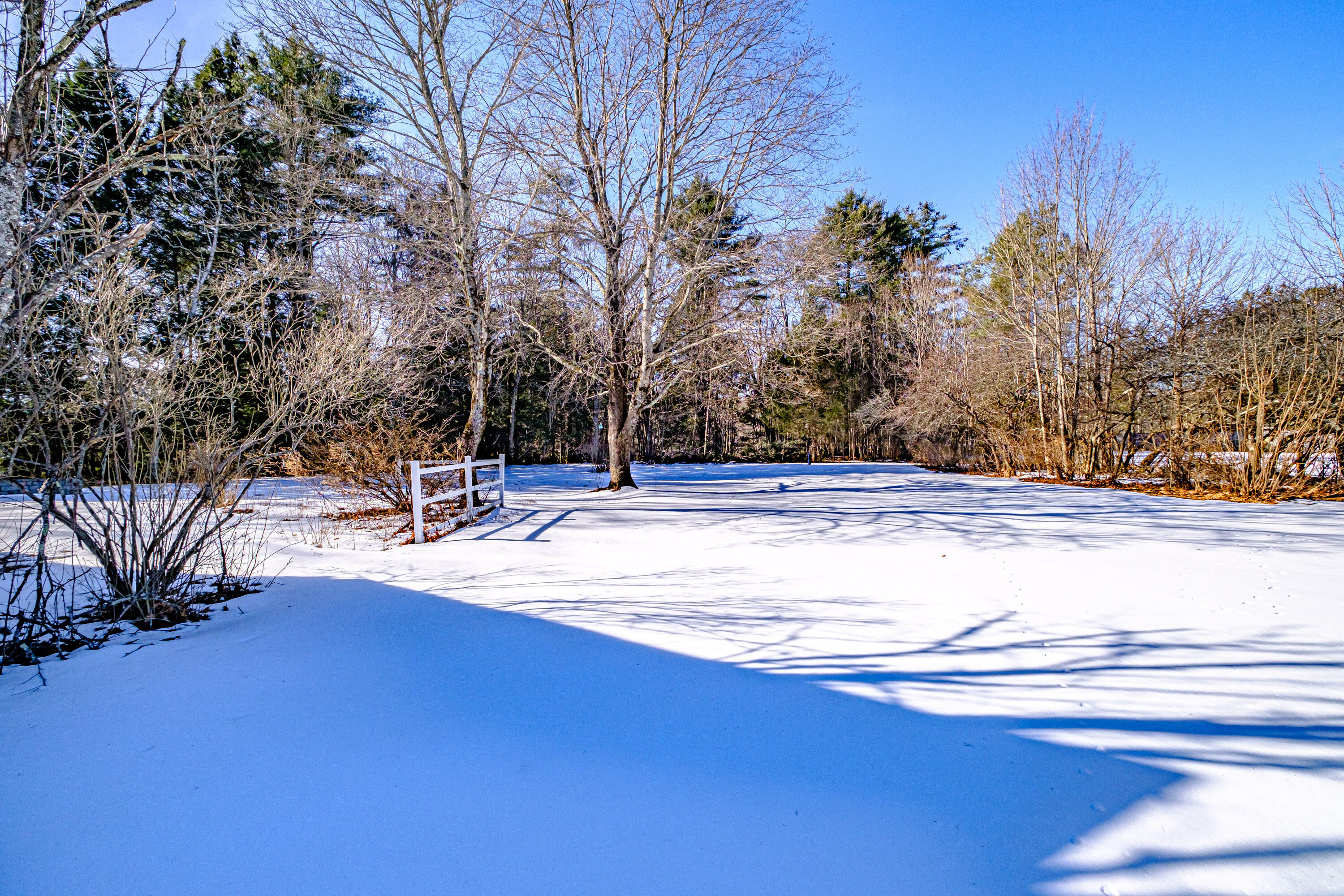 312 Buxton Road Saco, ME 04072 - Photo 58 of 64 20240221gp-60079
