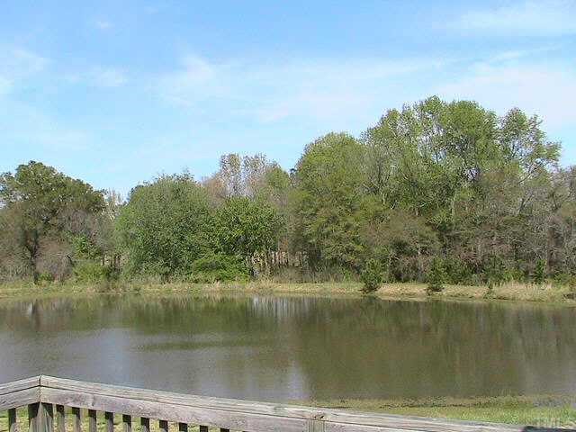 648 Slate Top House Road Clayton, NC 27520 - Photo 4 of 10 View of pond from deck