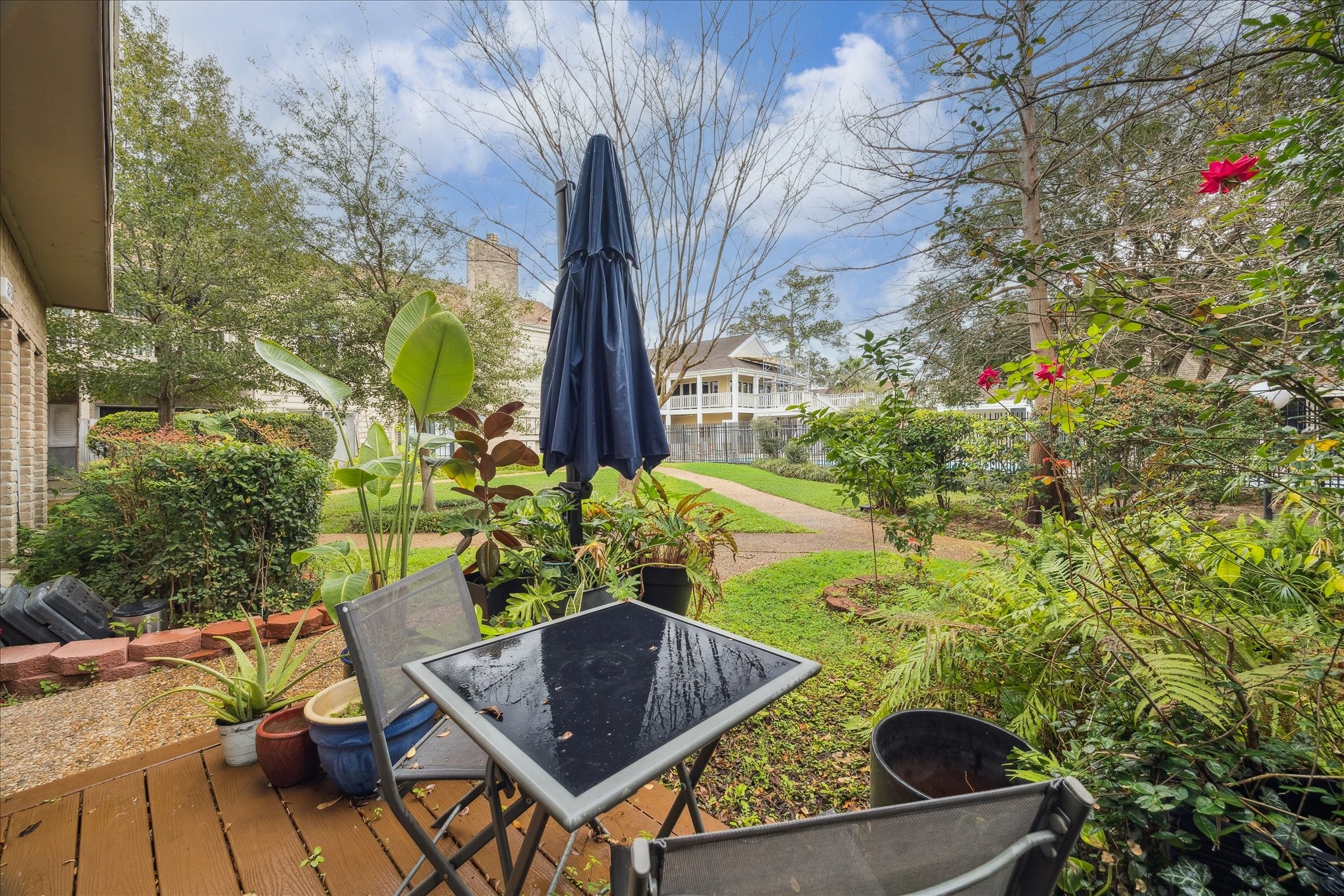 2100 Tanglewilde Street, Unit 373 Houston, TX 77063 - Photo 18 of 21 Charming front patio with decking surrounded by lush greenery and vibrant plants. The space offers a peaceful view of a walkway leading to neighboring homes, perfect for relaxing outdoors.
