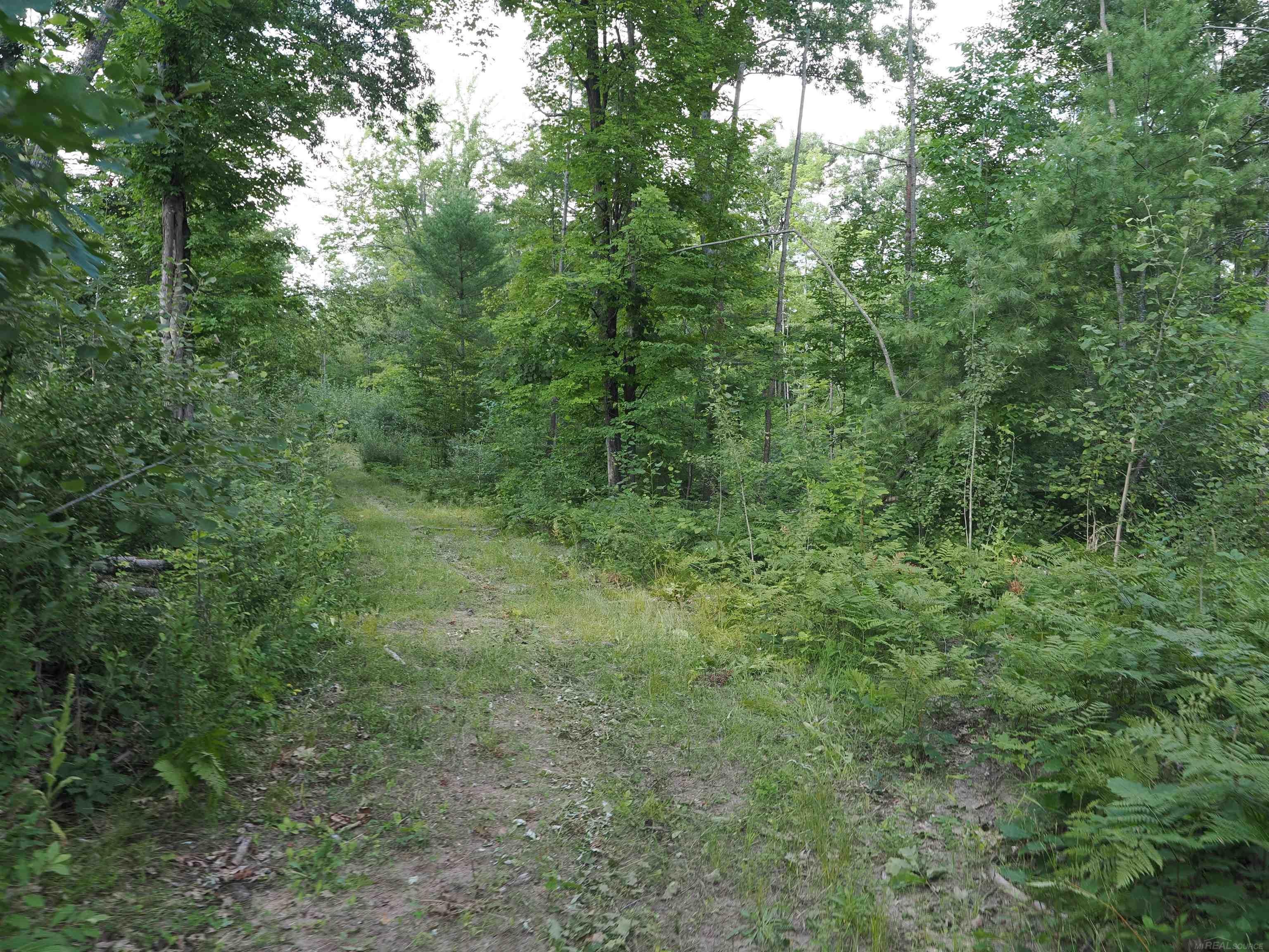 Xxx Emig Road Comins, MI 48619 - Photo 24 of 63 Gallery Image 24