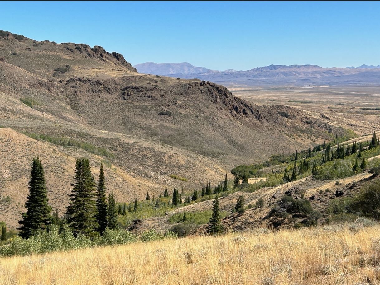Wild Cat Road Road Jarbidge, NV 89826 - Photo 3 of 10
