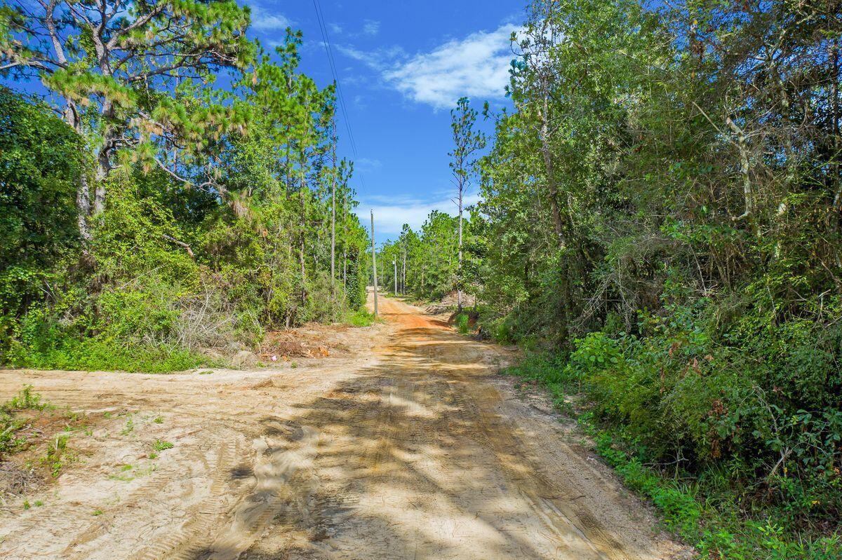 5 Sexton Road DeFuniak Springs, FL 32433 - Photo 10 of 10 a view of a yard with plants and trees