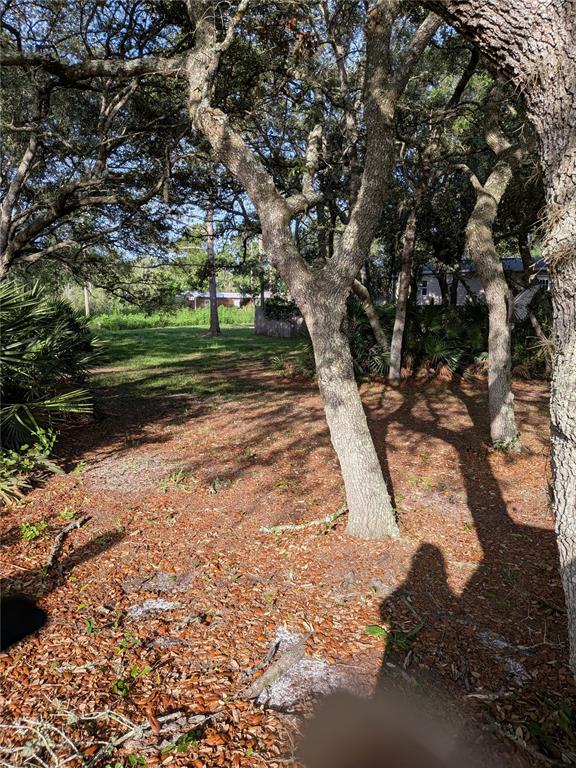 44931 2nd Street DeLand, FL 32720 - Photo 24 of 27