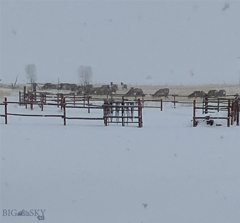 682 East River Road Pray, MT 59065 - Photo 8 of 100 Elk on far side of corral