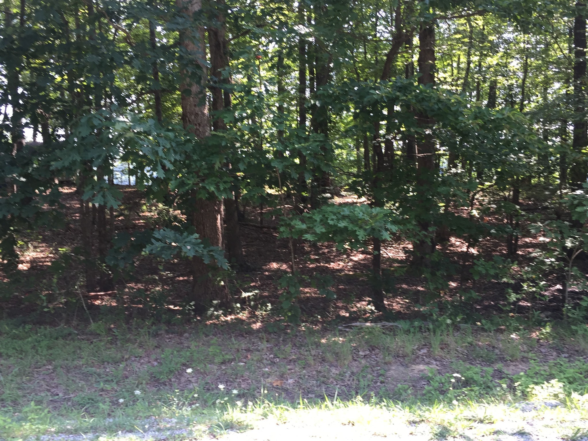 0 Ridge Cliff Estates Monteagle, TN 37356 - Photo 3 of 3 Gallery Image 3