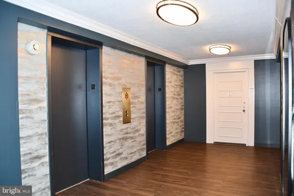 a view of a park with plants and trees