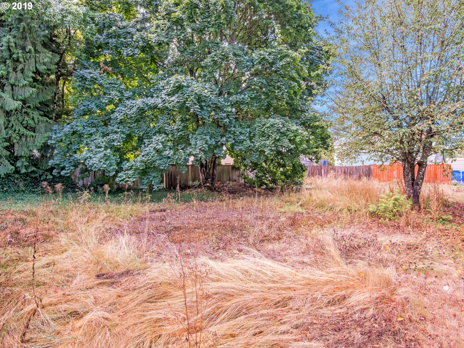 0 Southeast Foster Road Portland, OR 97236 - Photo 1 of 8 Gallery Image 1