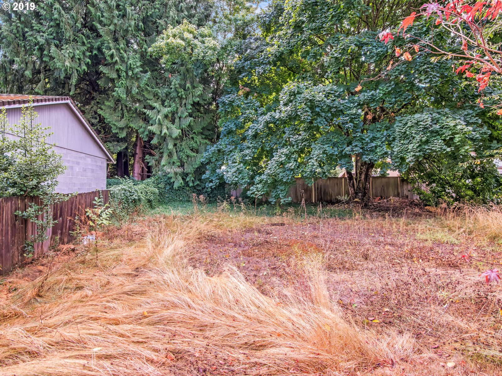 0 Southeast Foster Road Portland, OR 97236 - Photo 3 of 8 Gallery Image 3