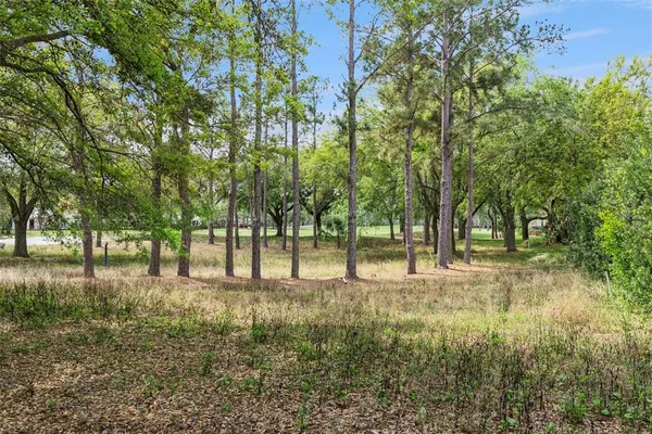 front view of house with a yard and potted plants
