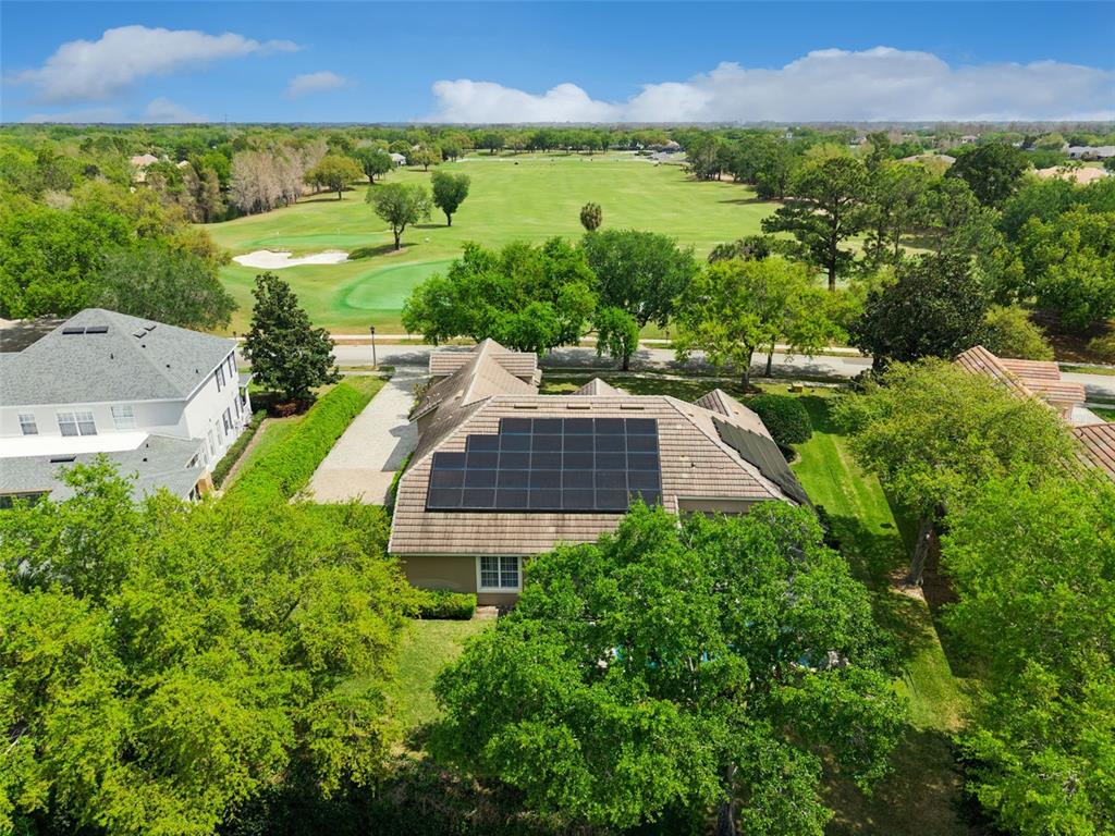 6110 Keenes Pointe Drive Windermere, FL 34786 - Photo 51 of 78 an aerial view of residential houses with outdoor space and trees