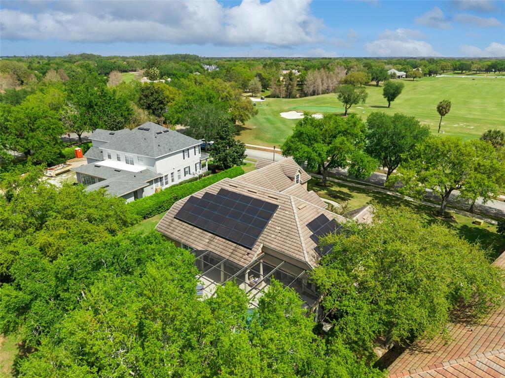 6110 Keenes Pointe Drive Windermere, FL 34786 - Photo 52 of 78 an aerial view of a house with garden