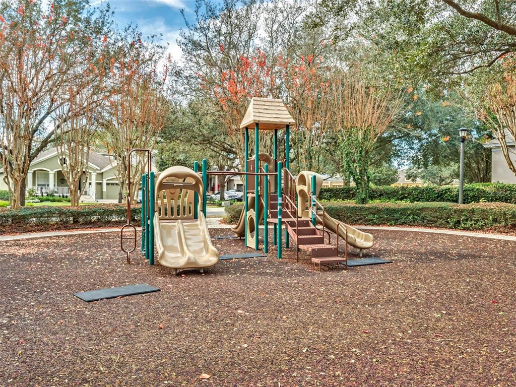 6110 Keenes Pointe Drive Windermere, FL 34786 - Photo 67 of 78 a view of a park with slide
