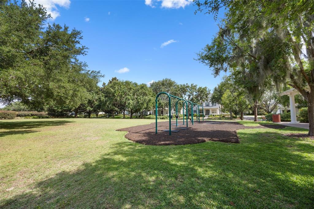 6110 Keenes Pointe Drive Windermere, FL 34786 - Photo 68 of 78