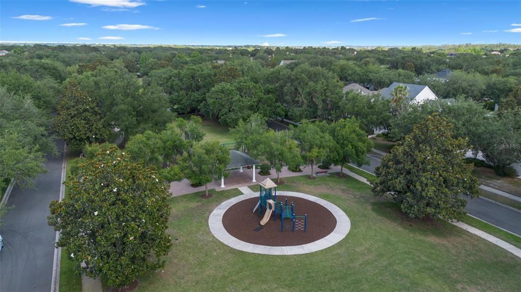 6110 Keenes Pointe Drive Windermere, FL 34786 - Photo 71 of 78 a view of a outdoor space with a swimming pool