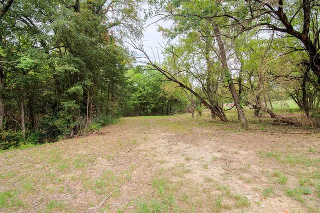 a grassy field with trees in the background