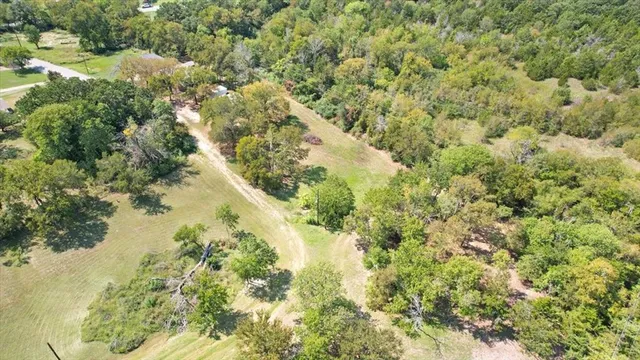a view of a forest with a lake