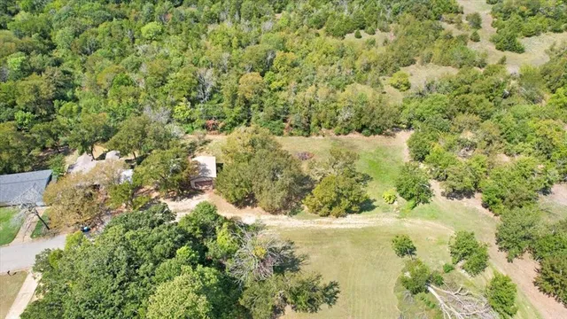 a view of a yard with a tree