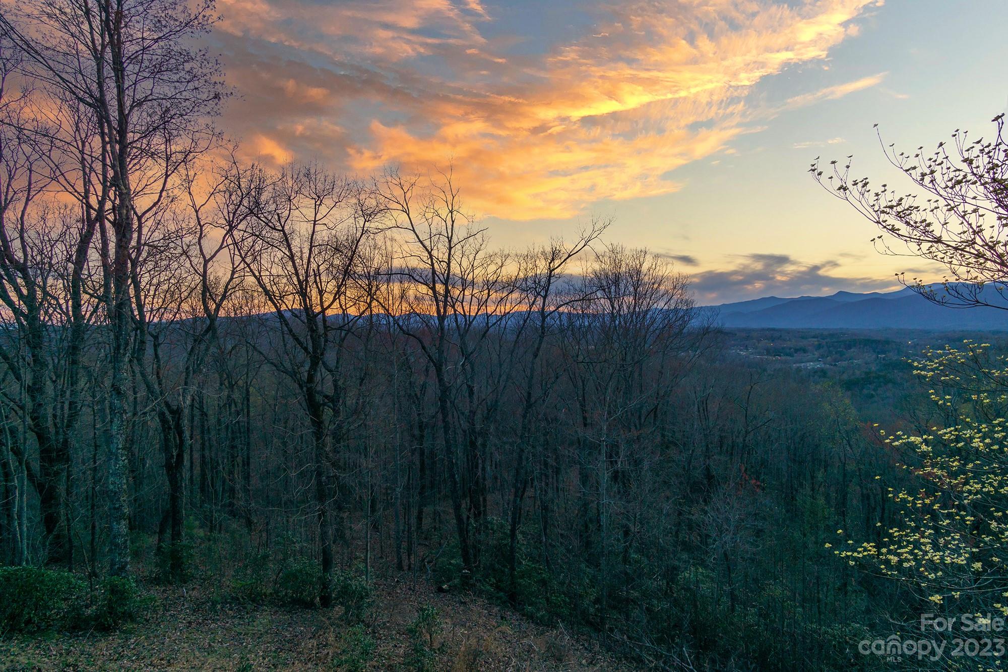 1595 Grants Mountain Road Marion, NC 28752 - Photo 29 of 31 a view of a yard