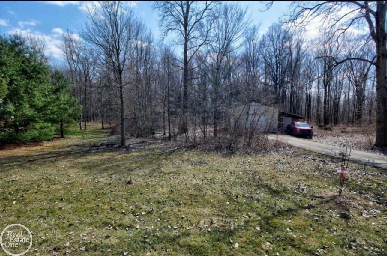 50777 Judd Road Belleville, MI 48111 - Photo 4 of 13 Gallery Image 4