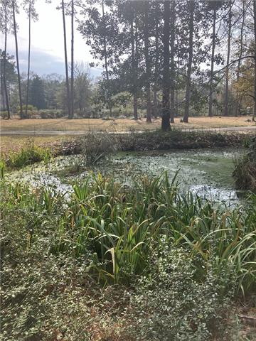 139 Reiher Road Mandeville, LA 70471 - Photo 20 of 36