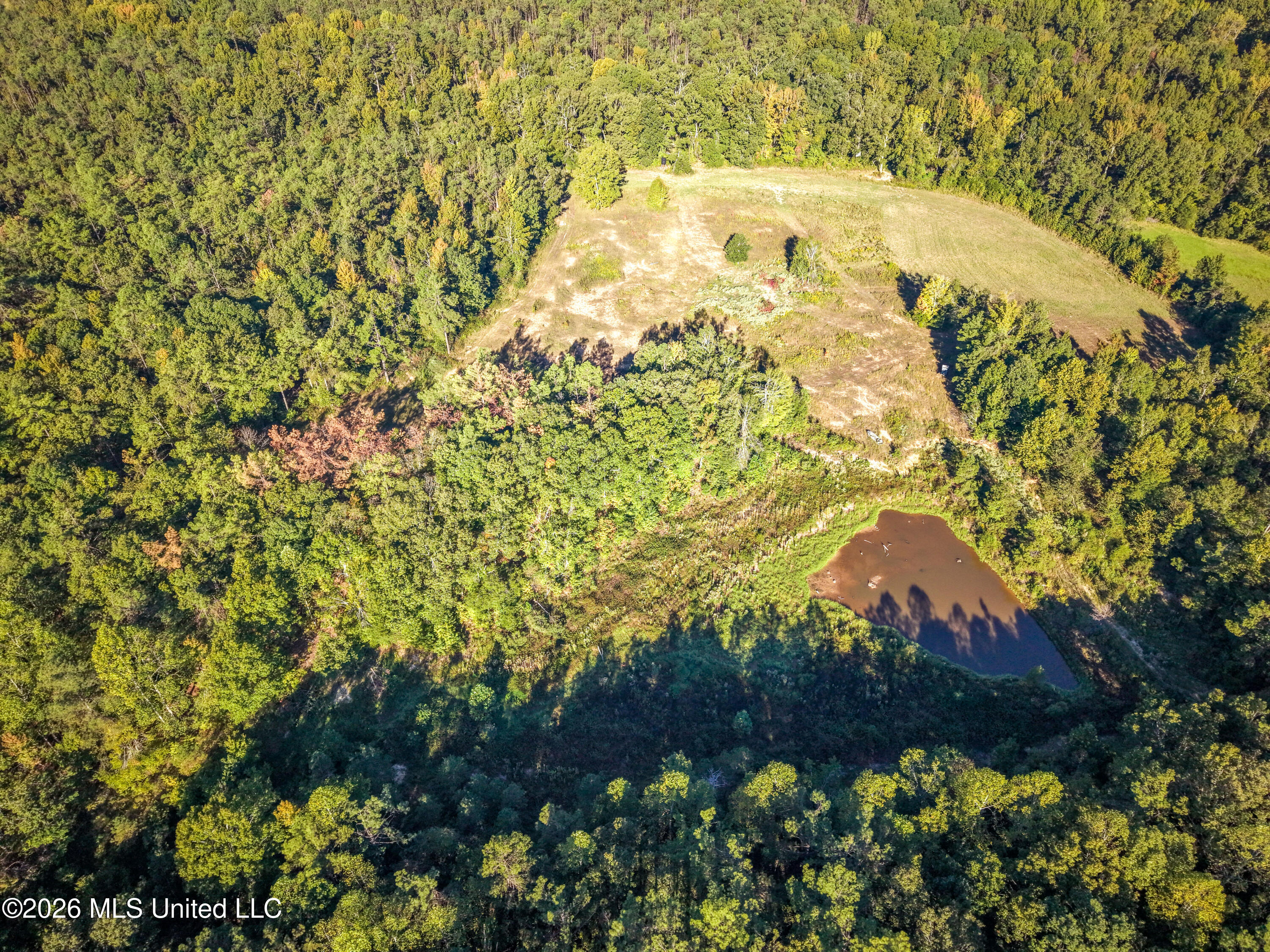 2000 Deer Creek Road Batesville, MS 38606 - Photo 19 of 54 Gary Woody Property (22)