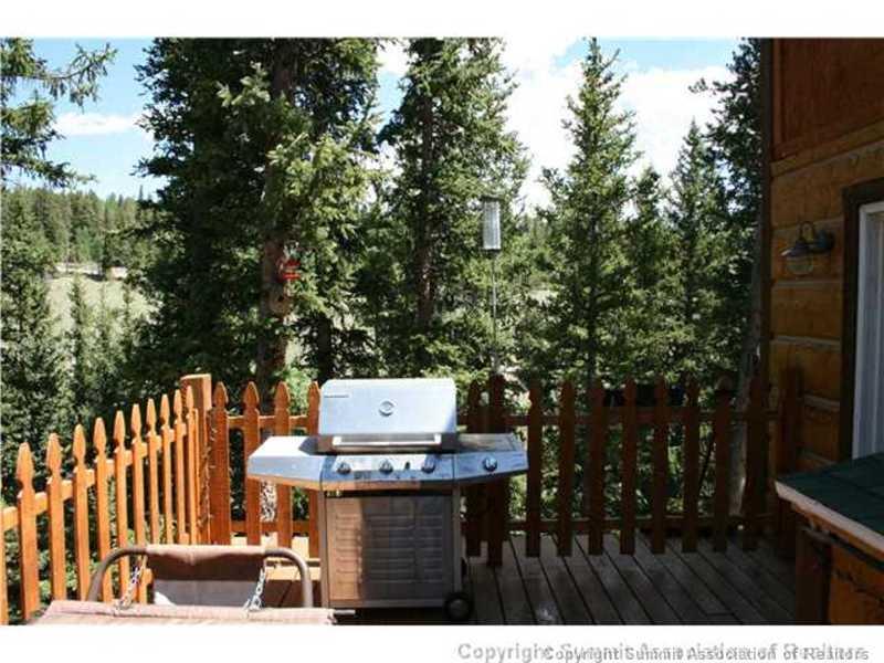 206 Pine Ridge Road Alma, CO 80420 - Photo 14 of 24 Gallery Image 14