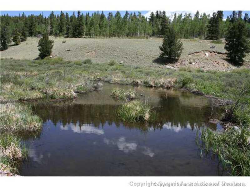 206 Pine Ridge Road Alma, CO 80420 - Photo 15 of 24 Gallery Image 15